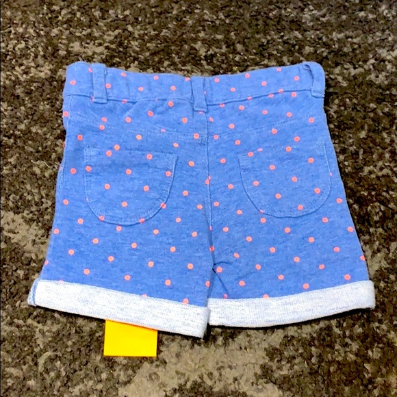 🎀 NWT Gymboree 2 pc set 12-18M Top Shorts Girl 🎀 - Picture 3 of 5